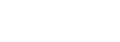 BorgWarner